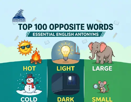Top important 100 Opposite Words in English-Presidency School Bangalore South.